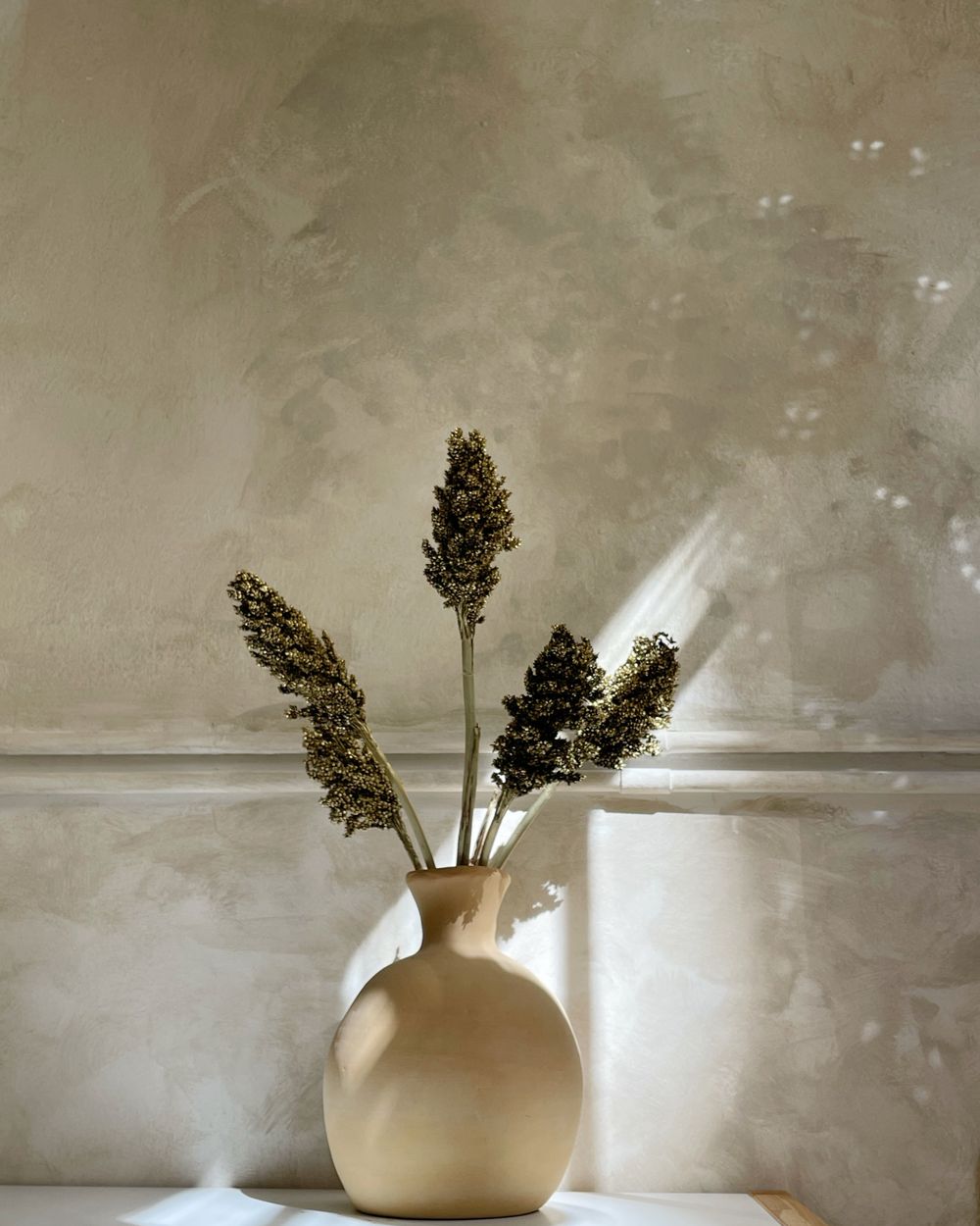 Un vase aux herbes sèches dans une lumière rasante